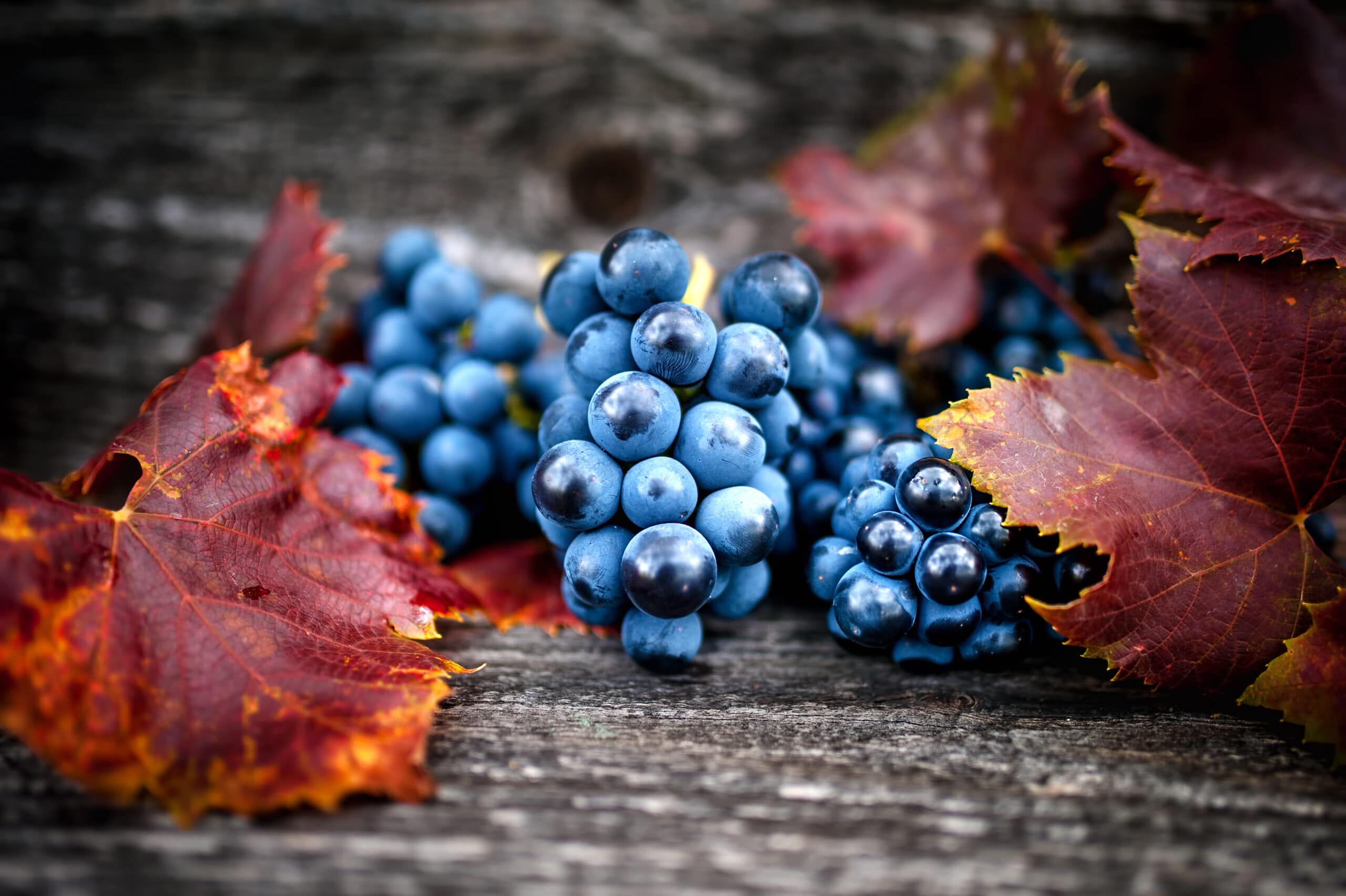 Regency Wines grapes